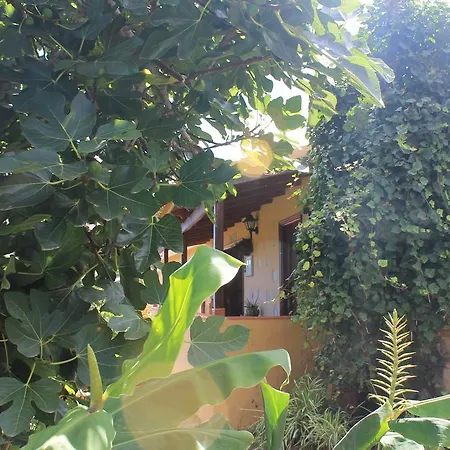 Rosas Casa vacanze Agulo