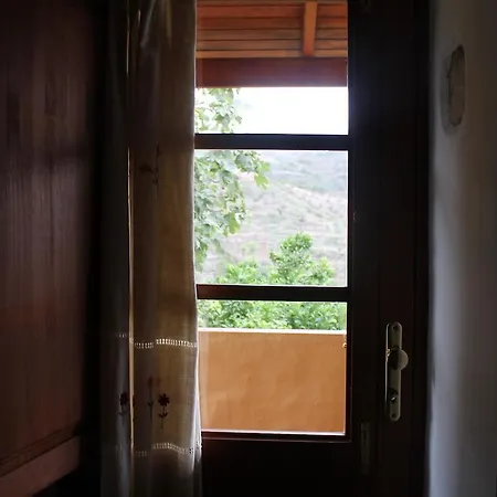 Rosas Agulo