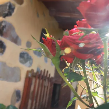 Casa vacanze Rosas Agulo