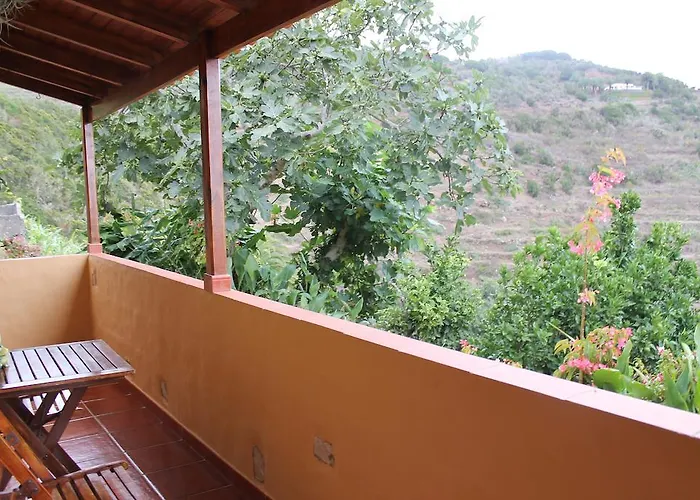 Rosas Agulo