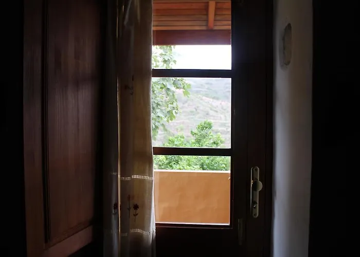 Rosas Agulo